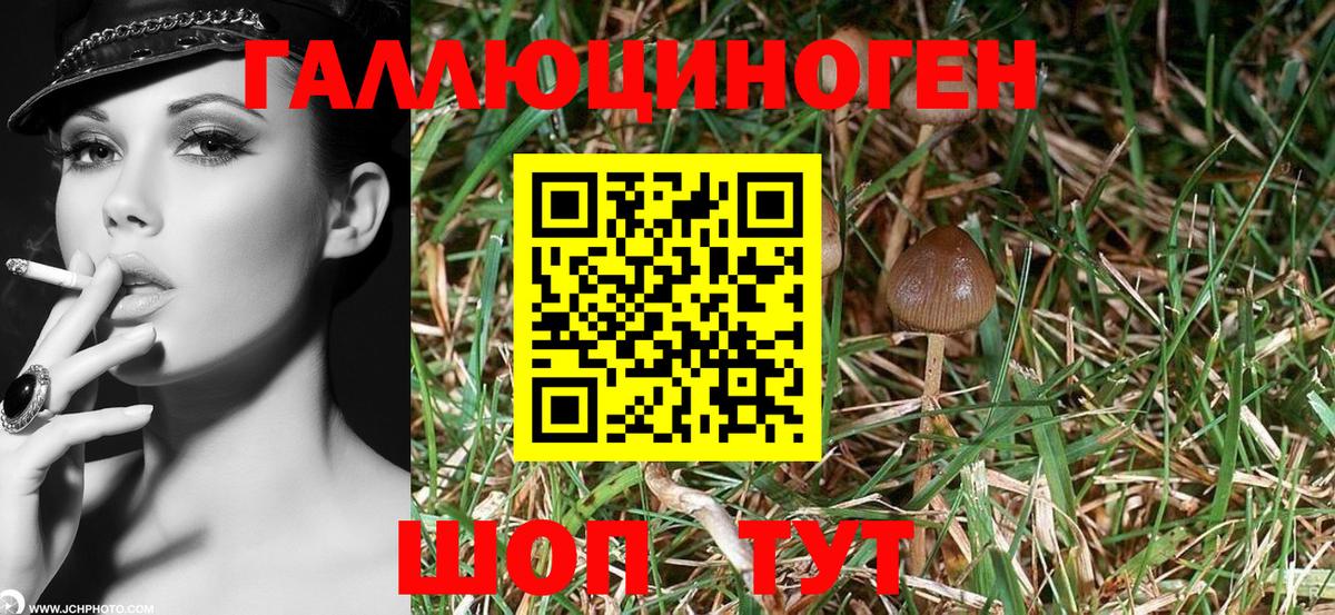 Галлюциногенные грибы Magic Shrooms Ангарск